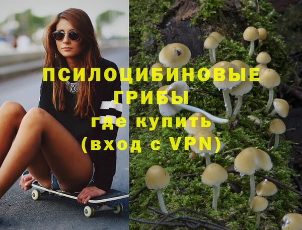 MDMA Каменногорск