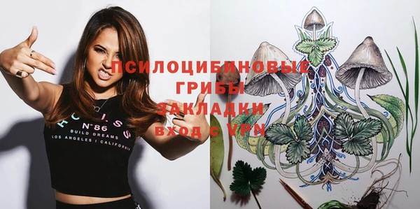 марки lsd Каменка